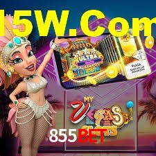 Roulette Table 855Bet
